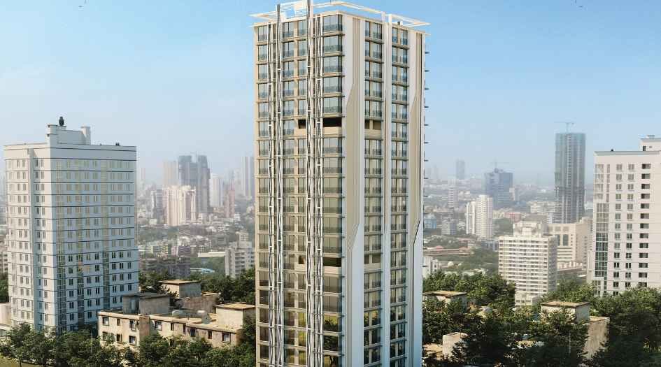 Sayba-Tulip-Elevation-Day